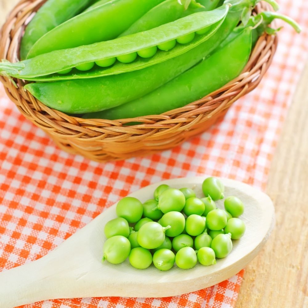 Pisello a semi rugosi rampicante Téléphone main product photo