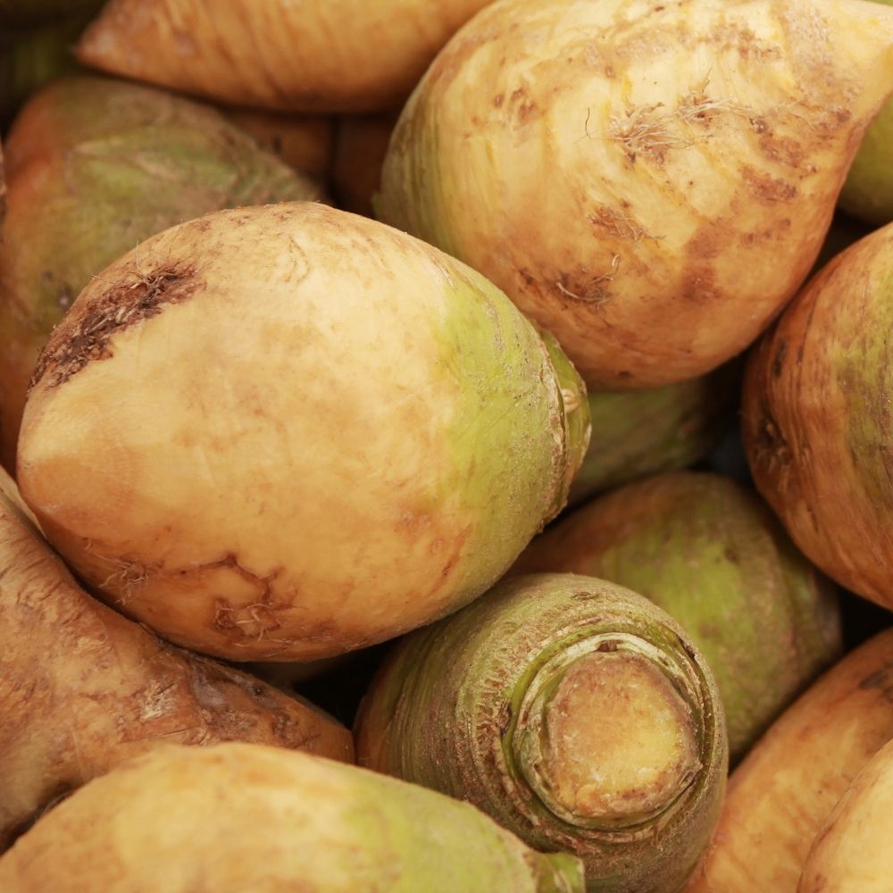 Rutabaga rapa svedese wilhemsburger a colletto verde main product photo