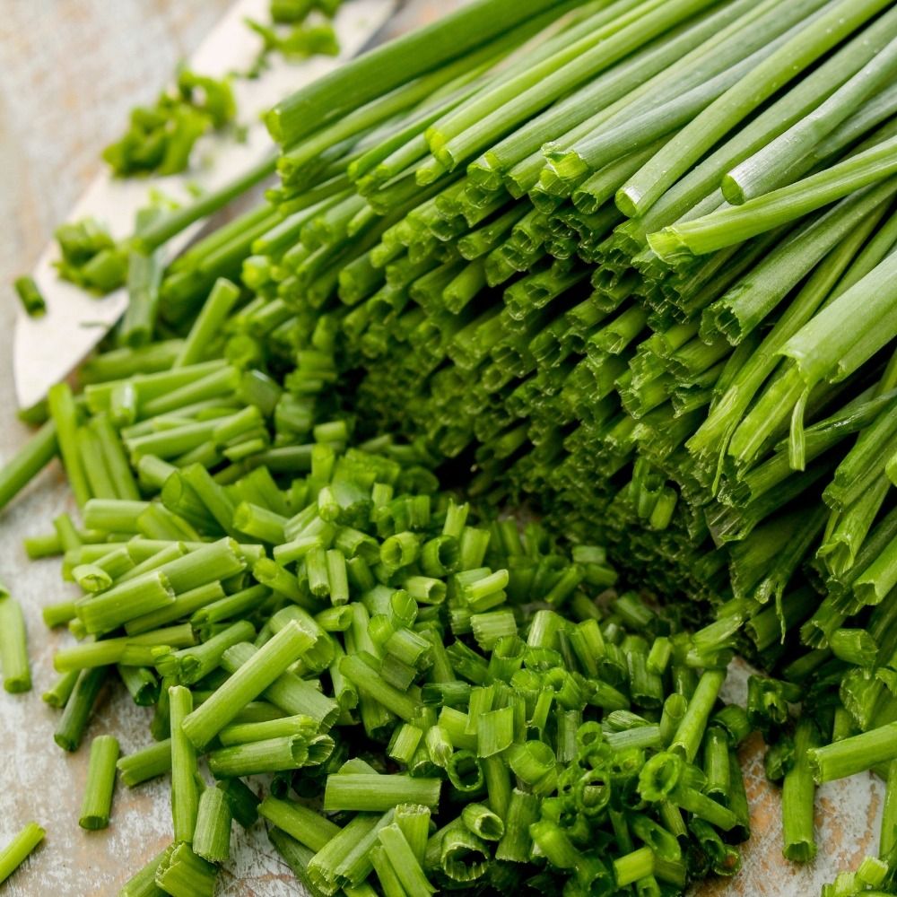 Erba cipollina finissima Danese BIO main product photo