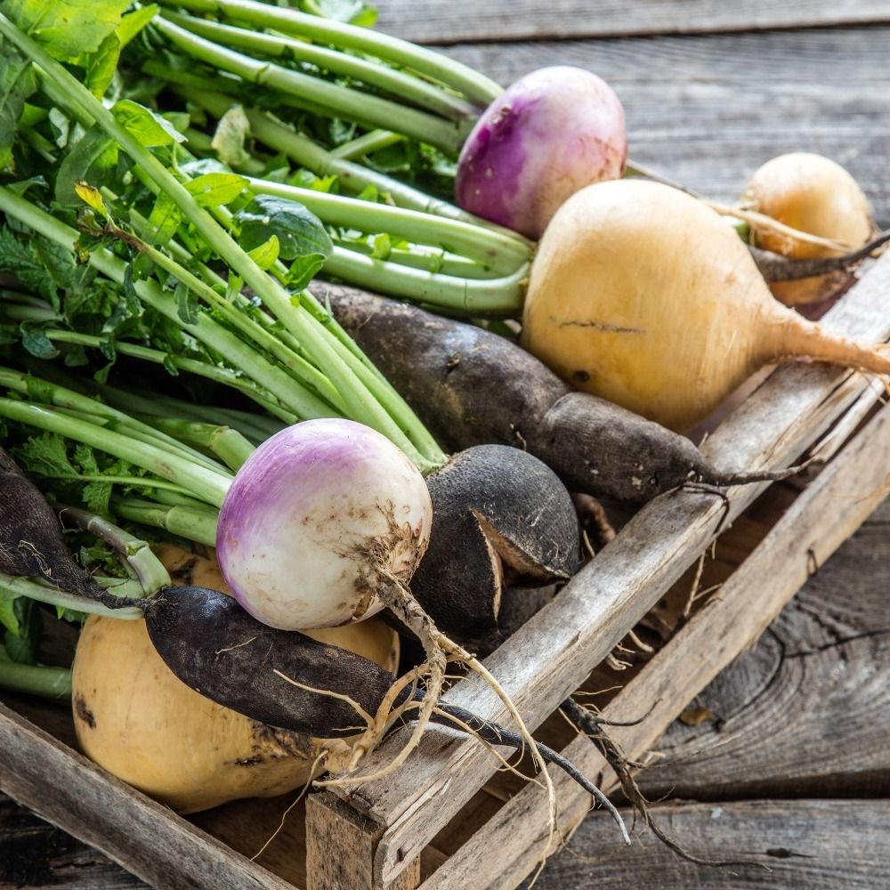 Rape in mix main product photo