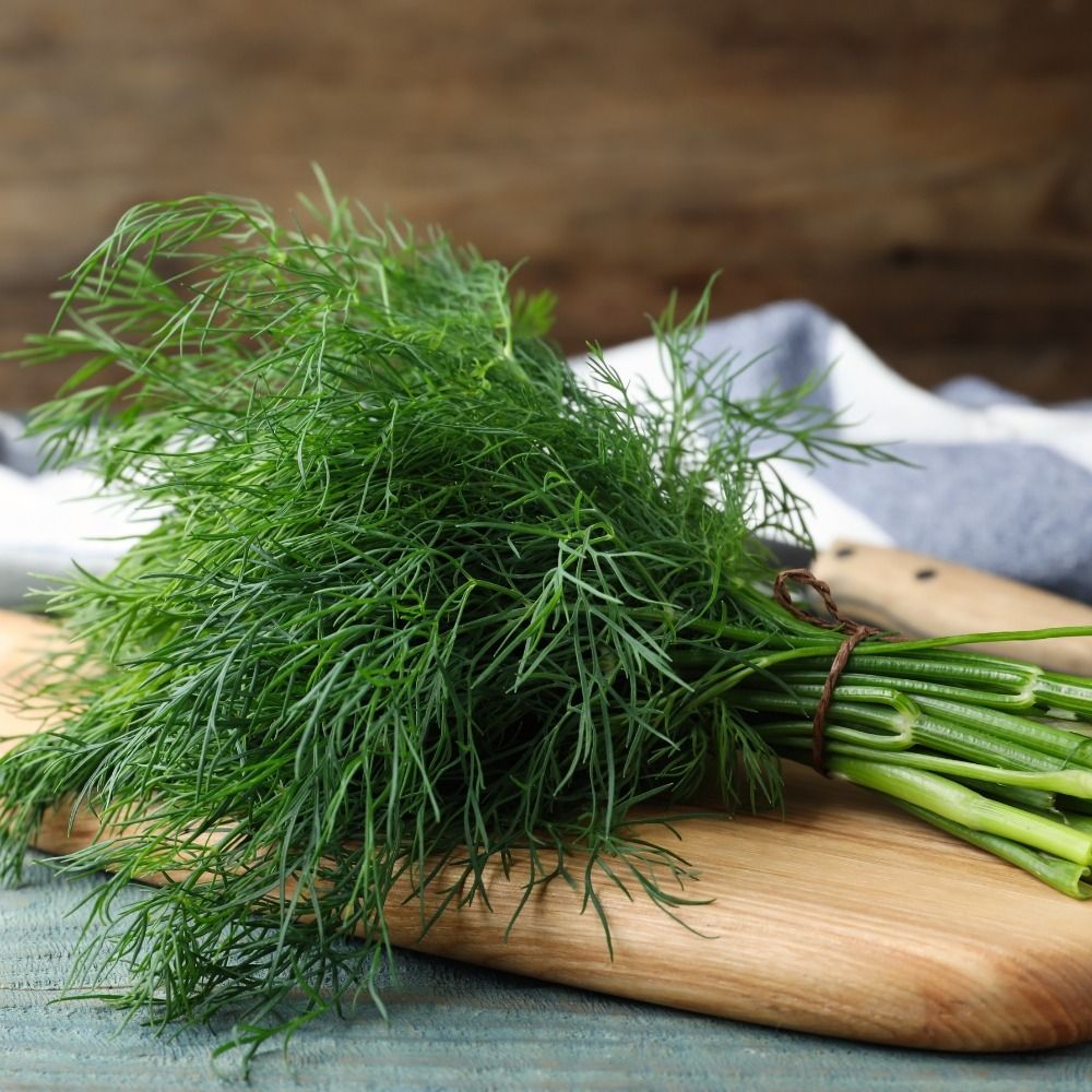 Aneto Officinale BIO main product photo