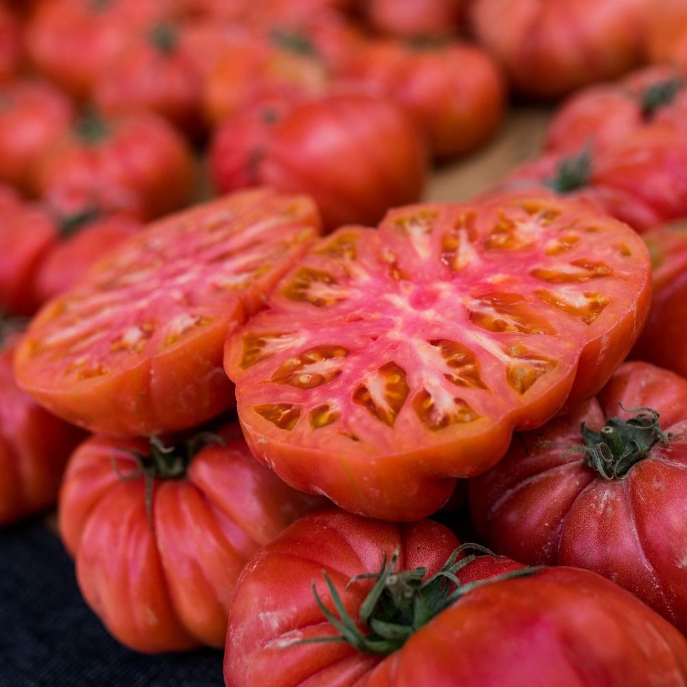 Plant de tomate Marnero (type Noire de Crimée) greffé main product photo