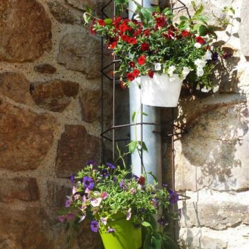 Cache gouttière clipsable avec ses plantes