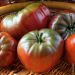 Pomodoro nero di crimea