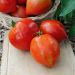 Pianta di Pomodoro Cauralina F1 Tipo Cuore di Bue