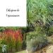 Collezione di graminacee