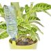 Set di 4 Gocciolatori IRISO ® Cad.