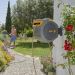 Bobina irrigazione + 30 m tubo Auto Reel kit completo