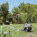Bobina carrello irrigazione + 20 m di tubo