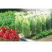 Film tubolare microforato per la crescita di verdure Tomatotube