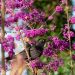 Callicarpa Imperial Pearl