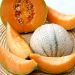 Melone Charentais BIO