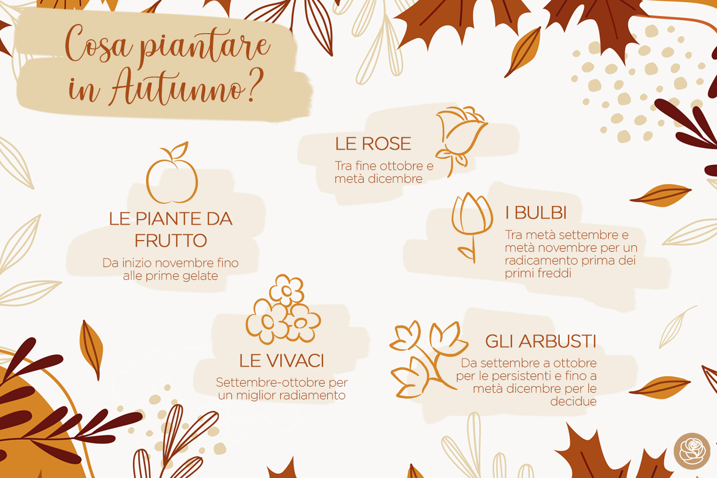 Cosa piantare in Autunno?